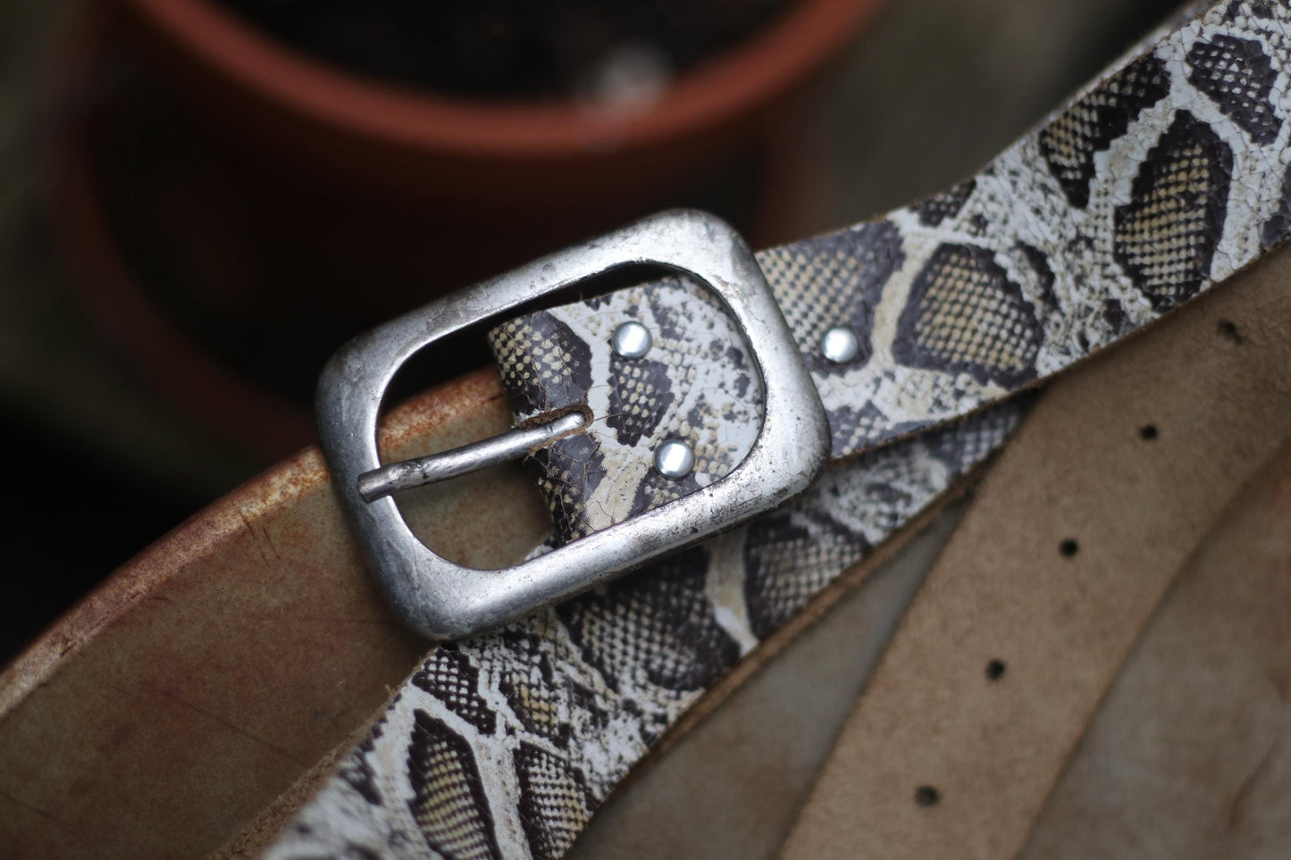 Close-up photo of the metallic buckle of a fashionable snake print leather belt. Made in the 70s, the piece is the perfect accessory for trendy outfits and stylish looks.