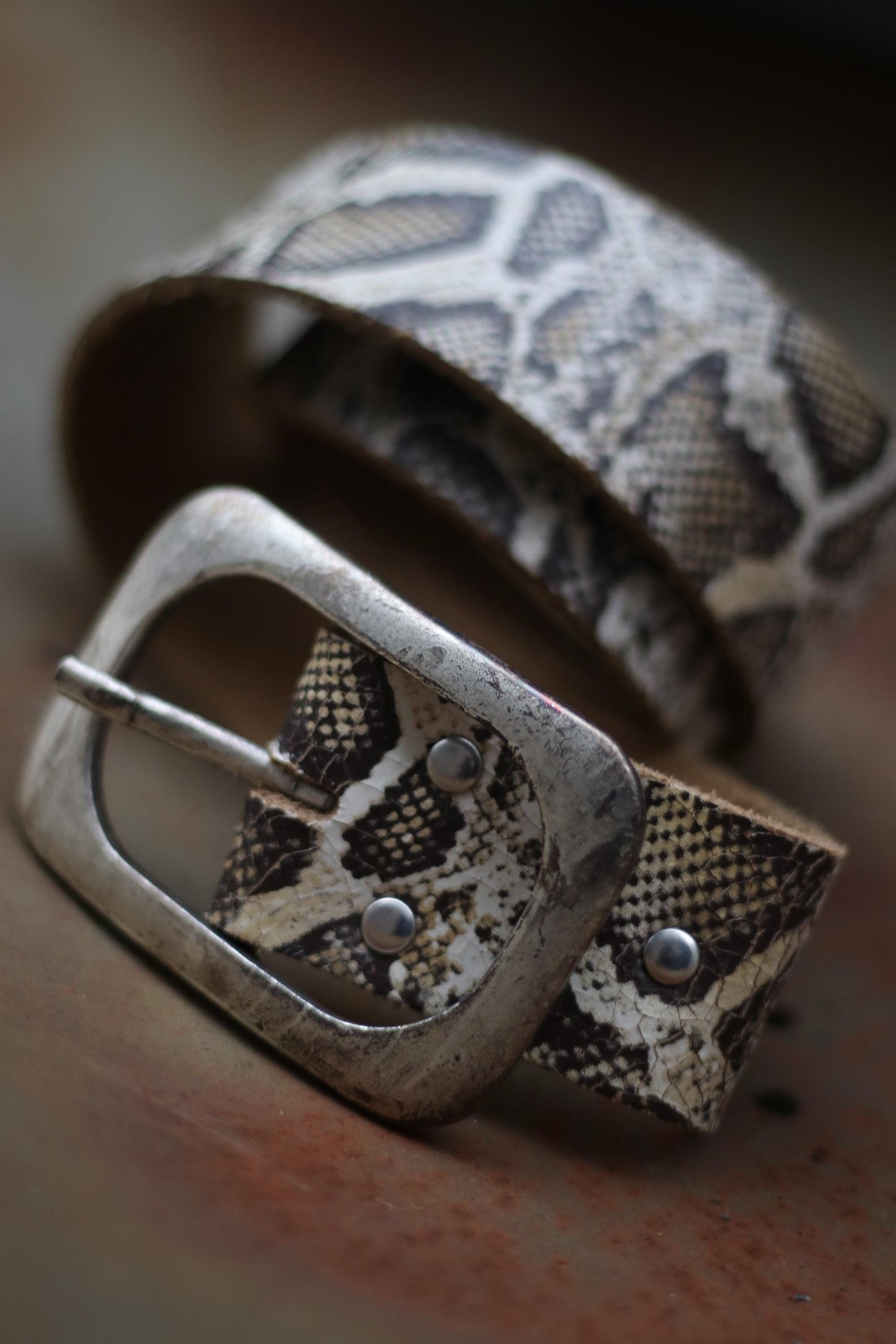 Close-up photo of a fashionable snake print leather belt with a vintage metallic buckle. Perfect accessory for trendy outfits and stylish looks.