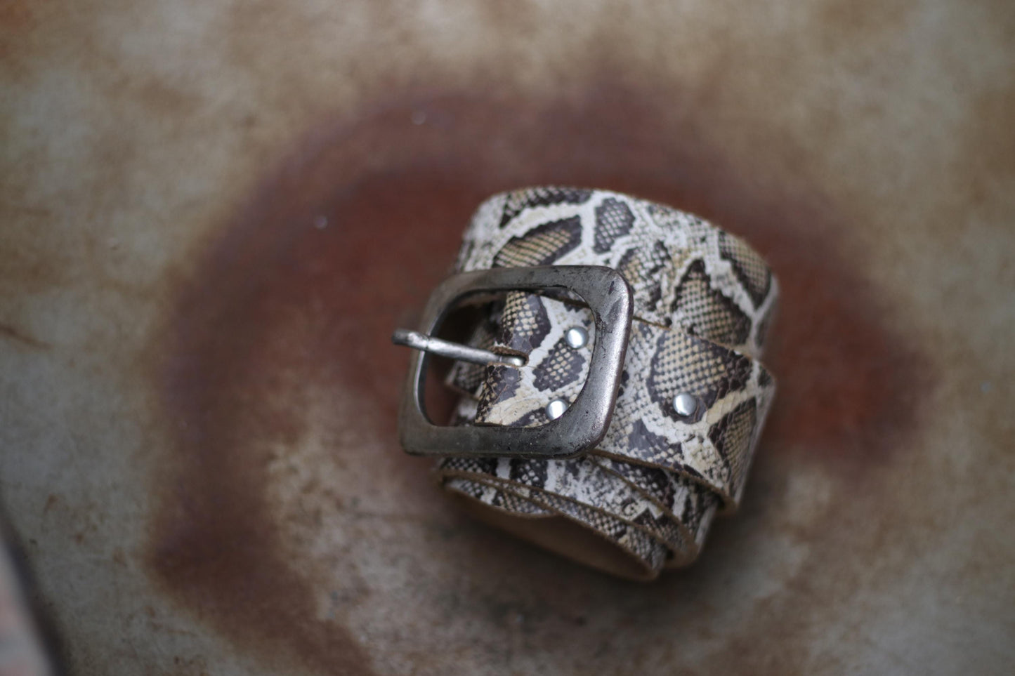 A photo of a rolled-up snake print leather belt with a vintage metallic buckle. The belt was made in the 70s and is the Perfect accessory for trendy outfits and stylish looks.