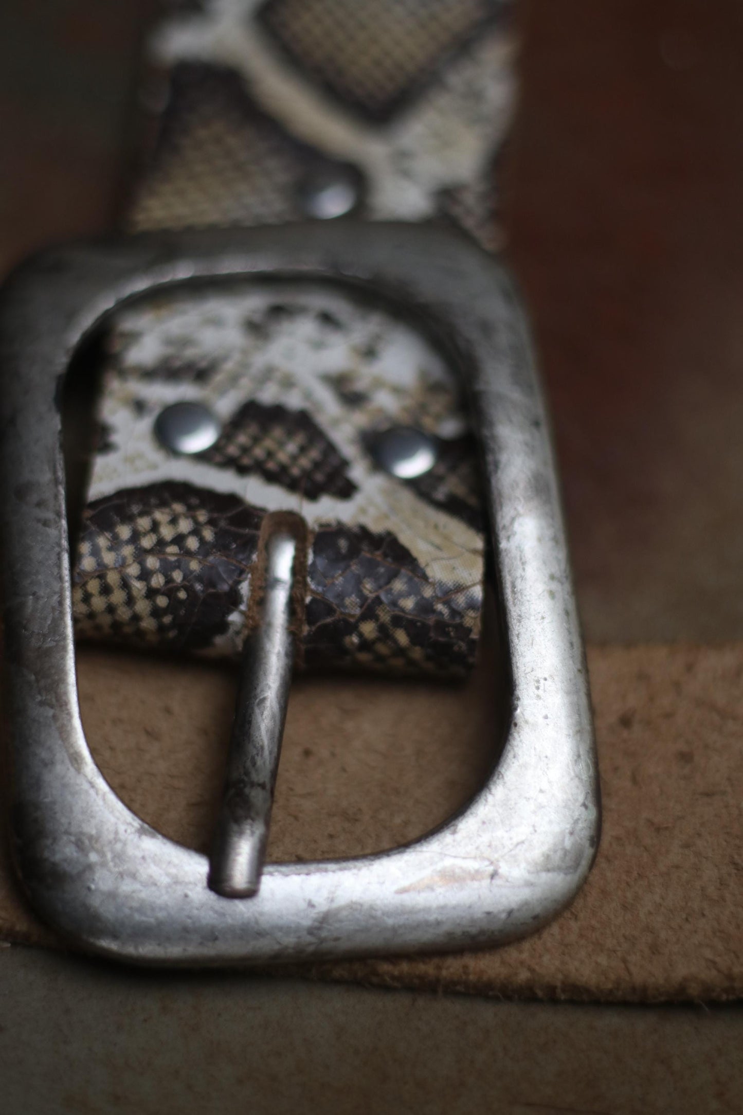 Close-up photo of the metallic buckle of a fashionable snake print leather belt. Made in the 70s, the piece is the perfect accessory for trendy outfits and stylish looks.