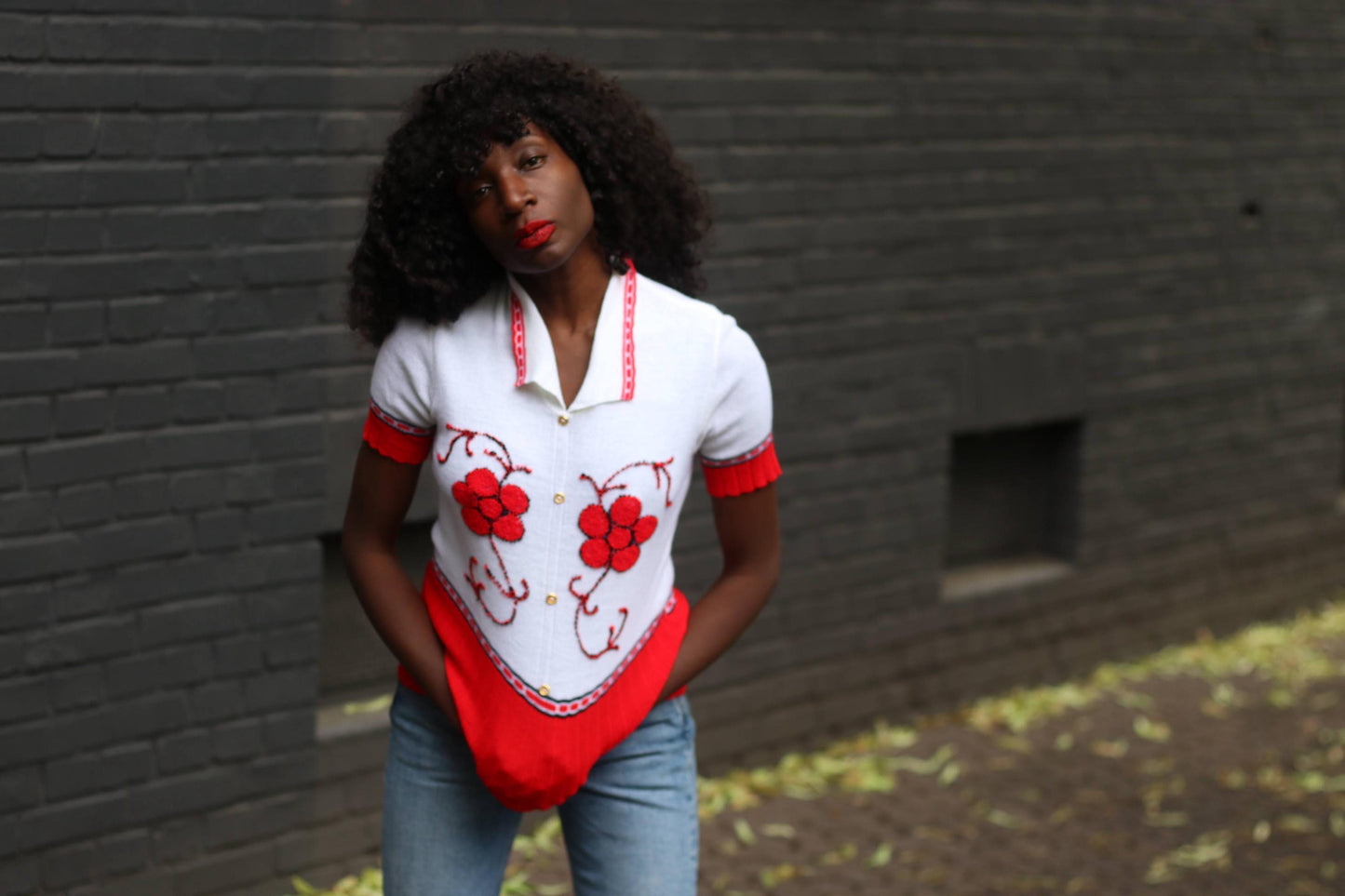 Vintage 70s Red White Polo Shirt | Embroidered Knit Top | Short Sleeve Cottagecore Blouse Floral Detail