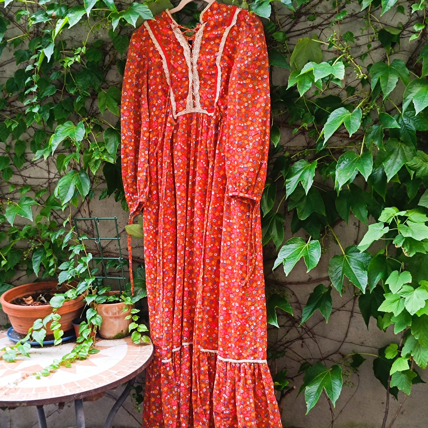 Candi Jones Vintage 70s Floral Ditsy Prairie Boho Maxi Dress | M/L