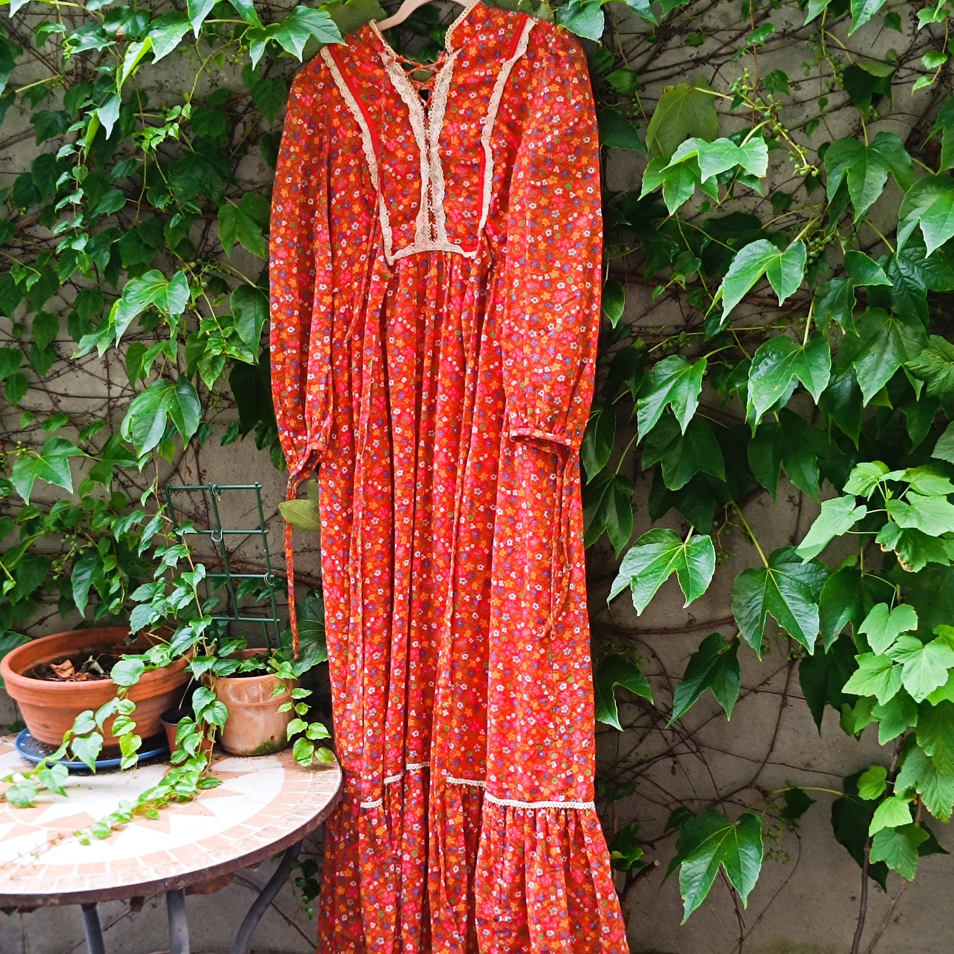 Candi Jones Vintage 70s Floral Ditsy Prairie Boho Maxi Dress | M/L