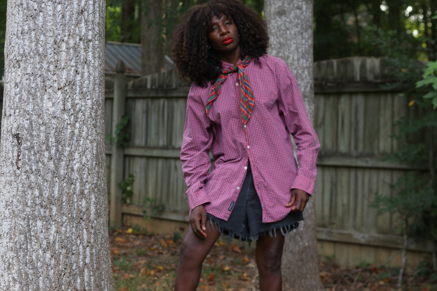 Vintage American Eagle Gingham Button Down Shirt - Pink & Blue