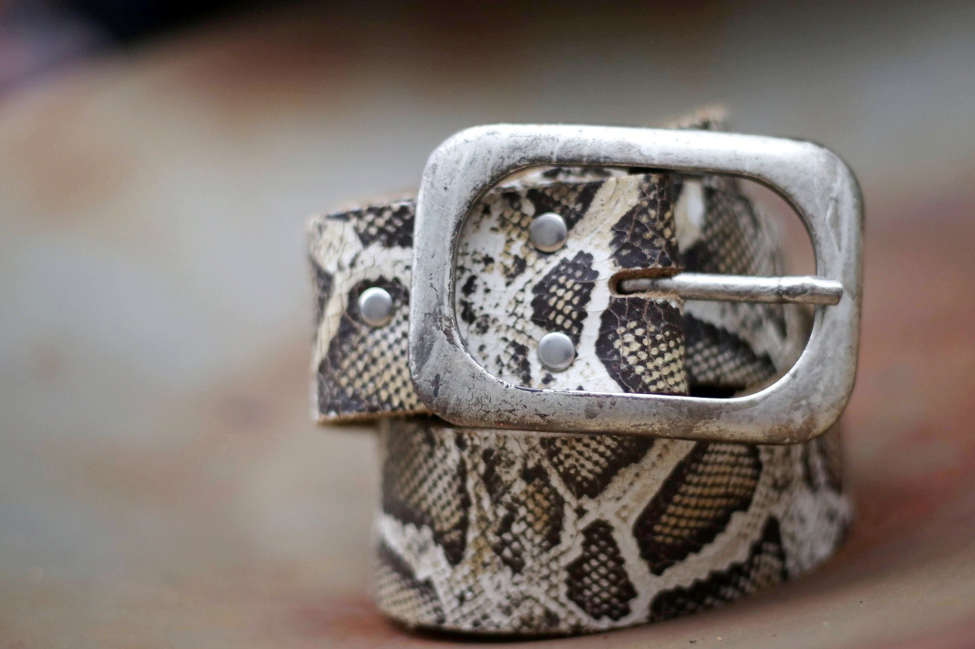 A photo of a leo print 70s leather belt with a vintage metallic buckle. Perfect accessory for trendy outfits and stylish looks.