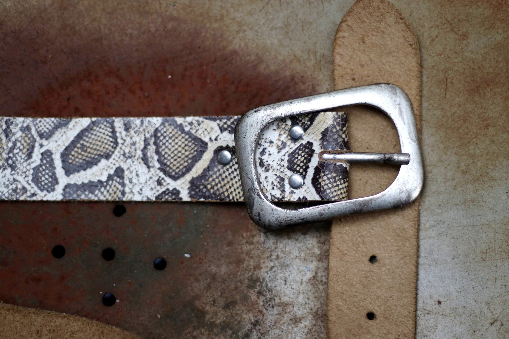 Photo of a fashionable vintage animal print leather belt with a metallic buckle. Perfect accessory for trendy outfits and stylish looks.