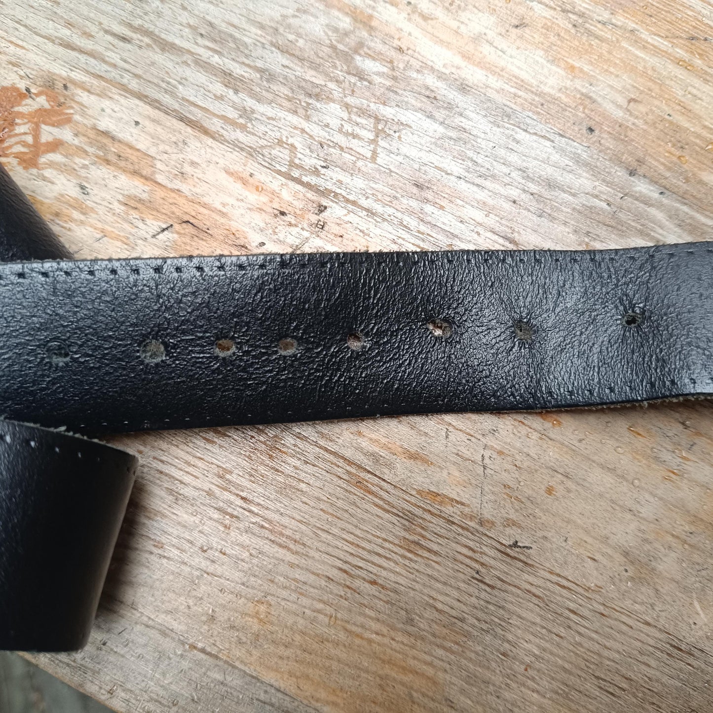 Zoomed in shot of the belt holes of the vintage leather belt with a silver antique elephant buckle.