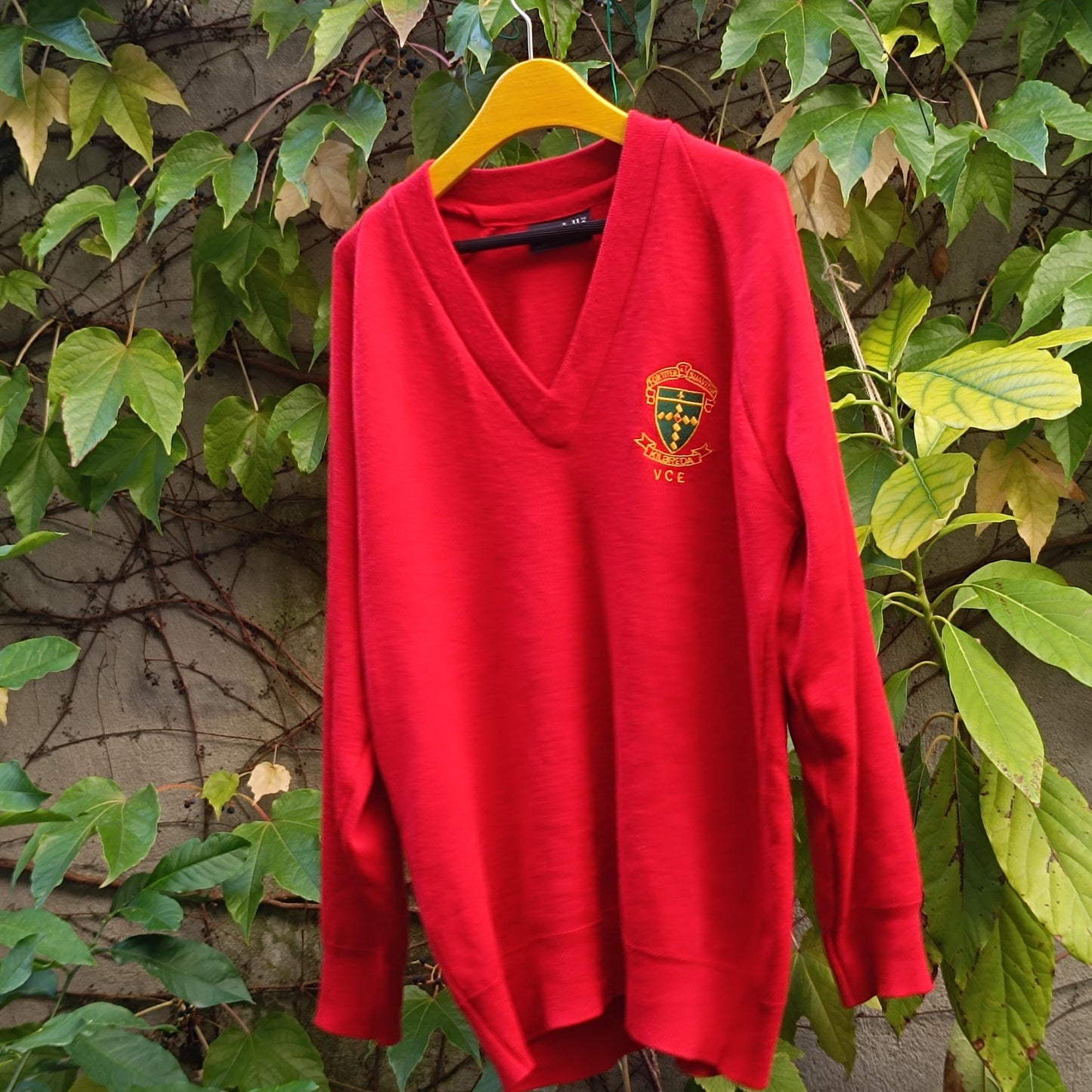 Vintage Red Sweatshirt 90s Crest Logo Pullover Retro College Sportswear Jumper