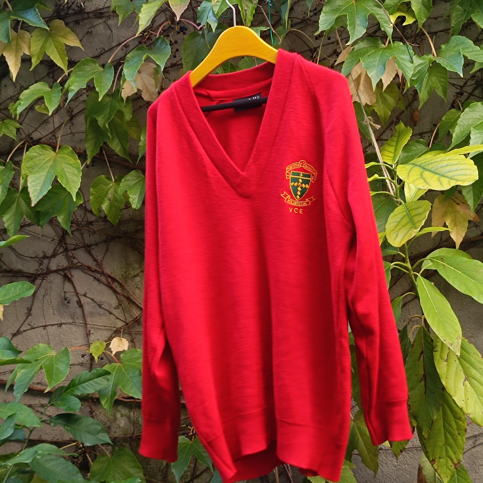 Vintage Red Sweatshirt 90s Crest Logo Pullover Retro College Sportswear Jumper