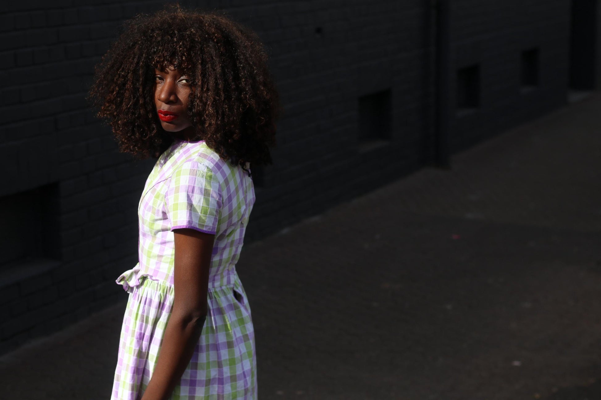 Vintage Gingham Fit and Flare Dress: Purple Green Check Cotton Summer Style