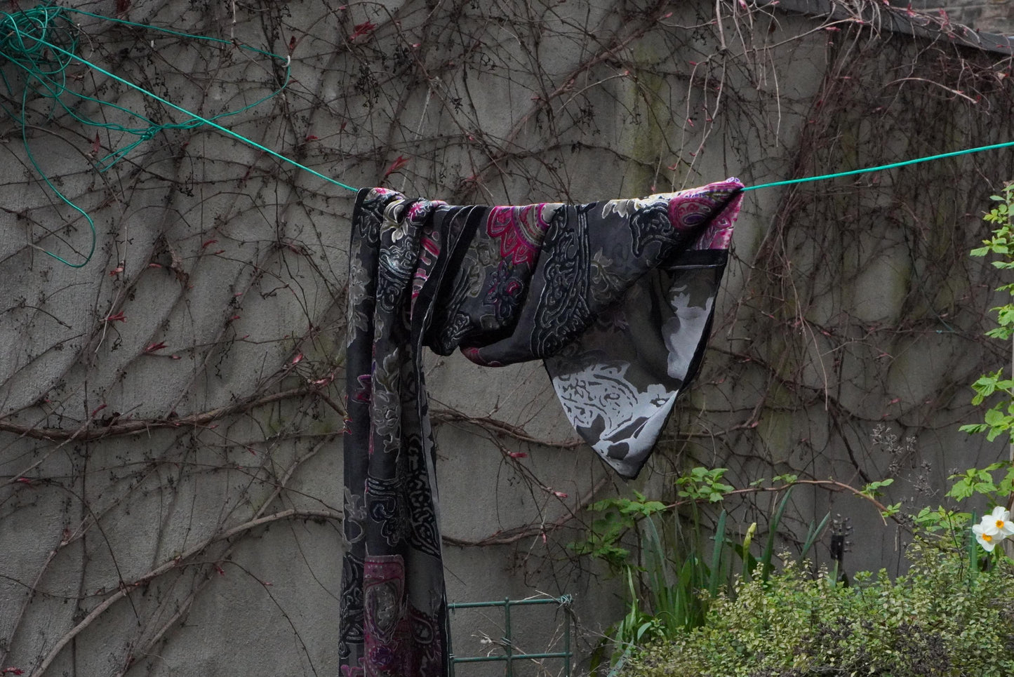 Vintage Devoré Velvet Scarf Silk Mix Paisley Shawl Magenta Black Sheer Wrap Boho