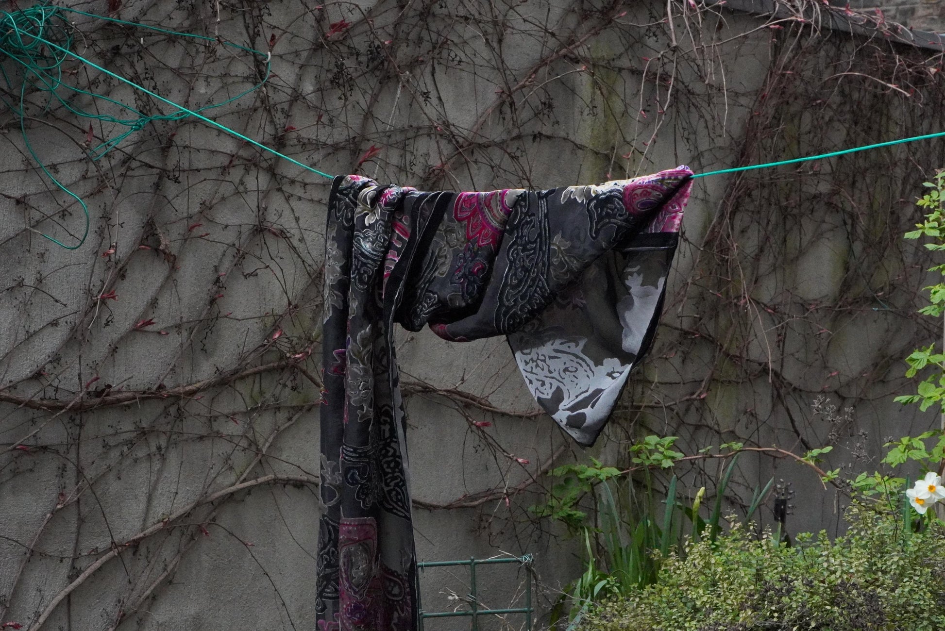Vintage Devoré Velvet Scarf Silk Mix Paisley Shawl Magenta Black Sheer Wrap Boho