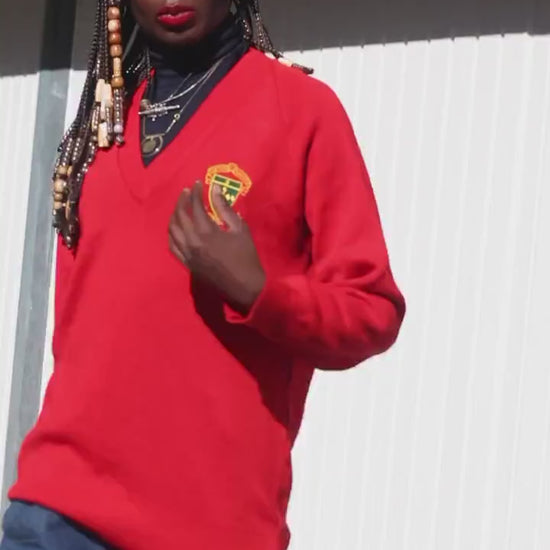 Vintage Red Sweatshirt 90s Crest Logo Pullover Retro College Sportswear Jumper