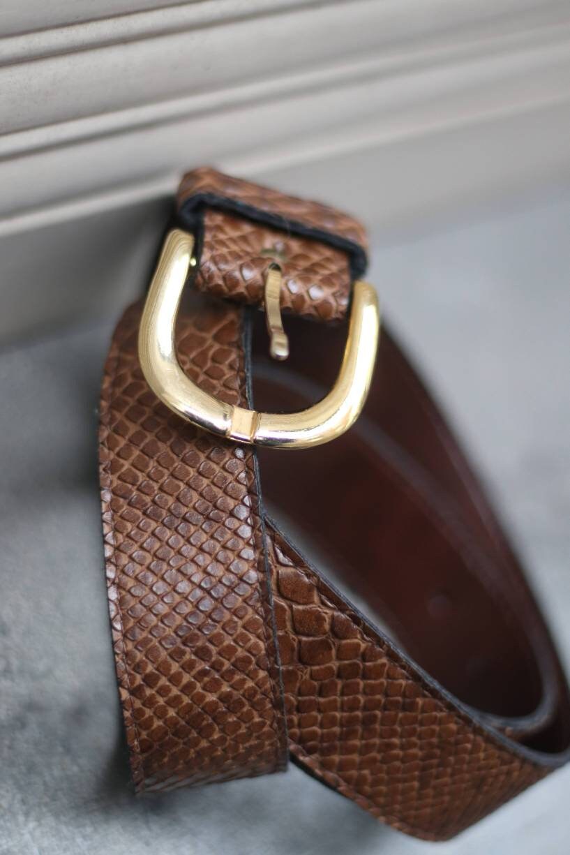 Vintage Brown Faux exotic skin belt | Y2k brown minimalist belt with gold colored buckle