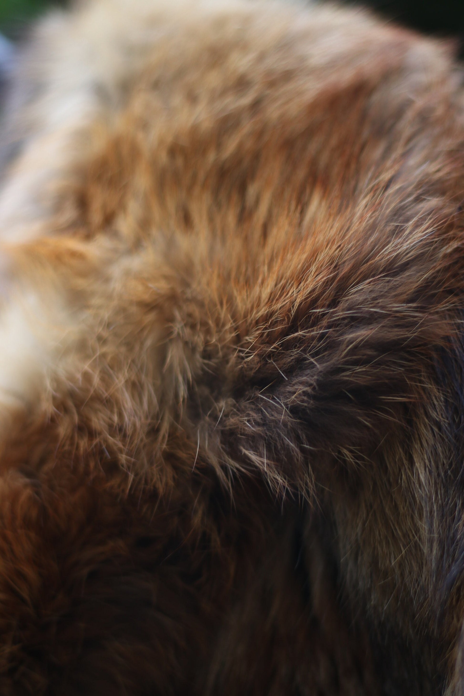 70s Fur Coat| Vintage Luxurious Real fur jacket | Pelz Enders Eschweiler brown Fur Winter Coat